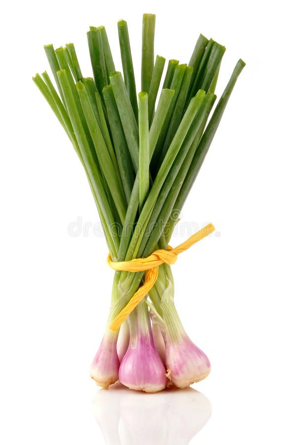Spring Onion