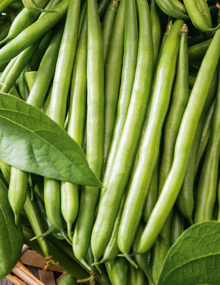 Beans