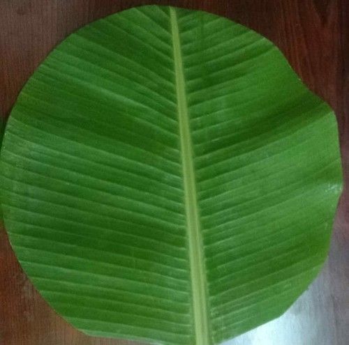 Banana Leave