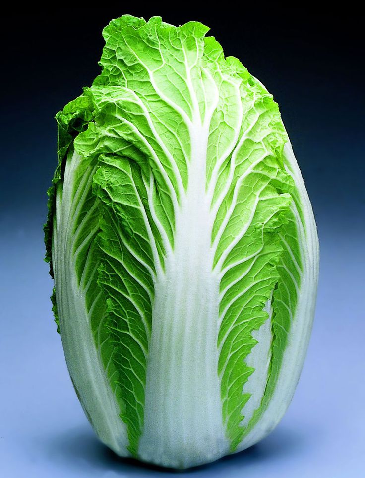 Cabbage Chinese