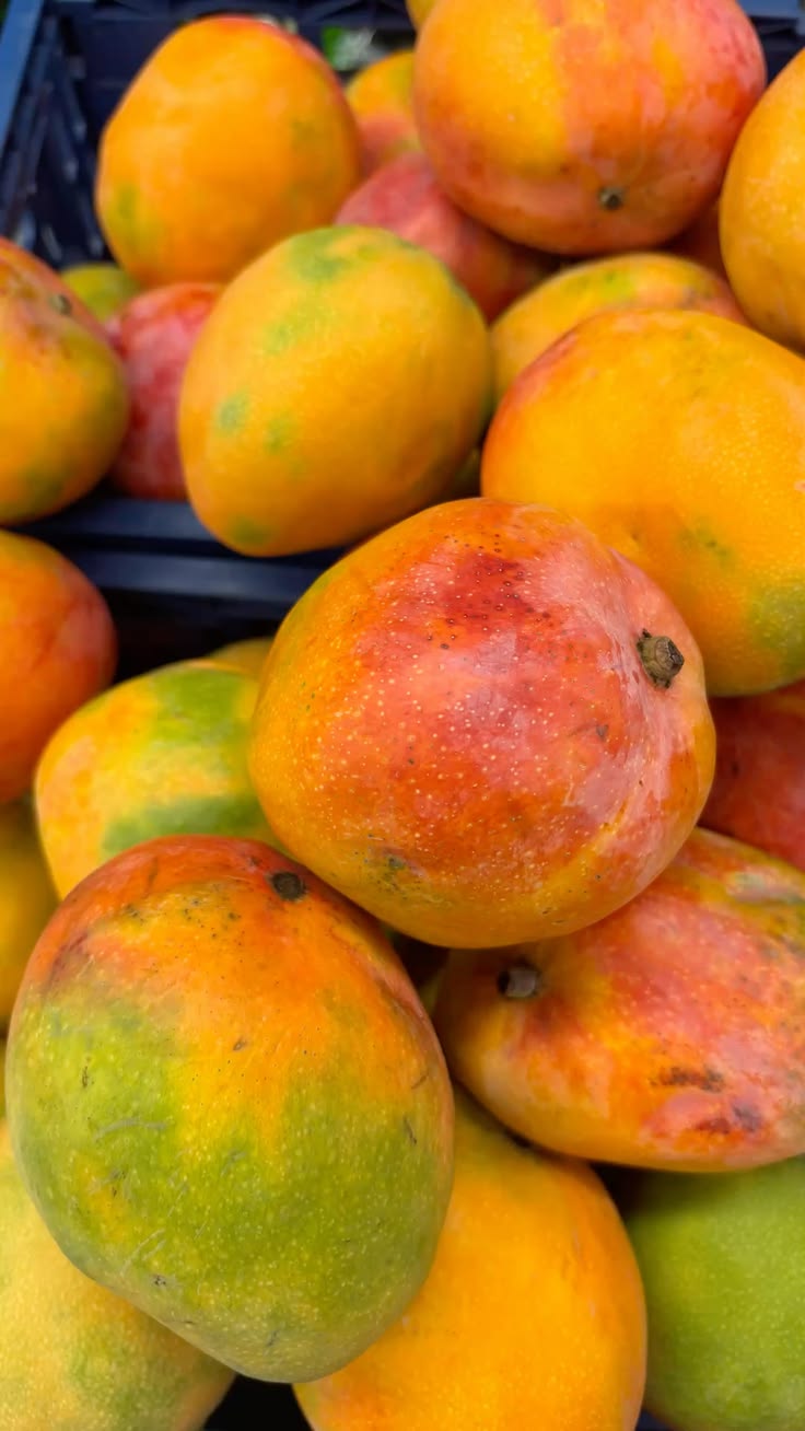 Mango Rumani