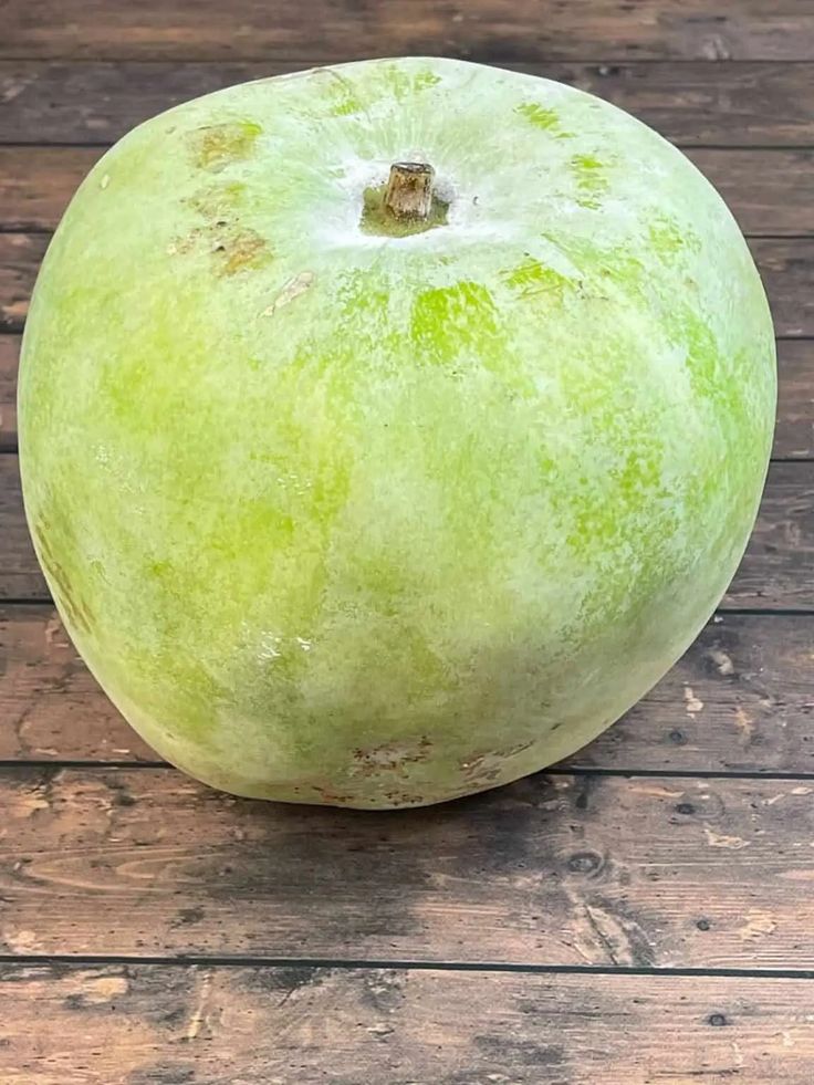Pumpkin White
