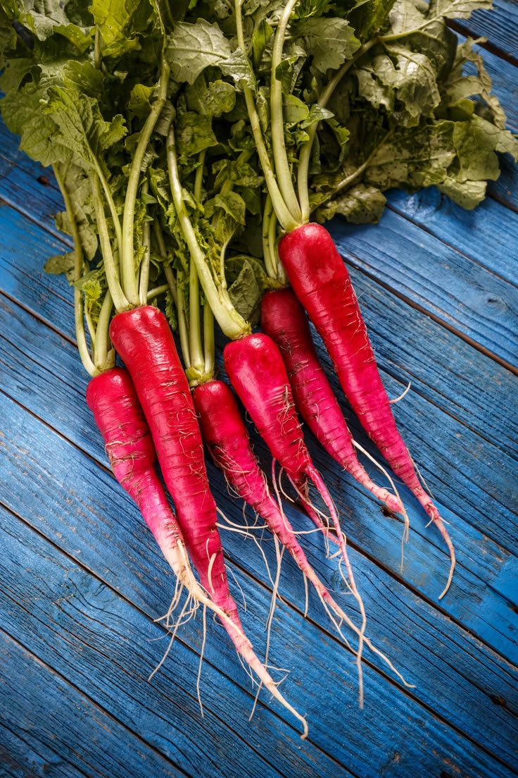 Radish White