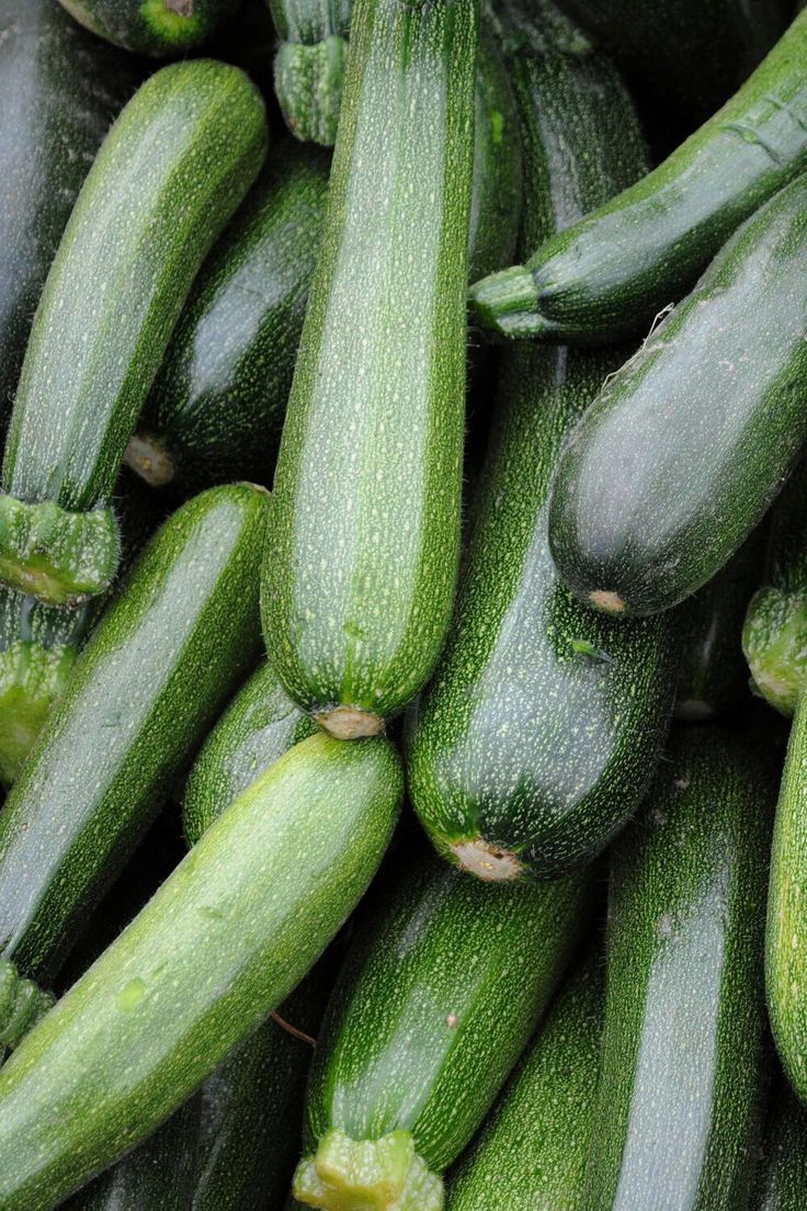 Zucchini Green (suraikkaai)