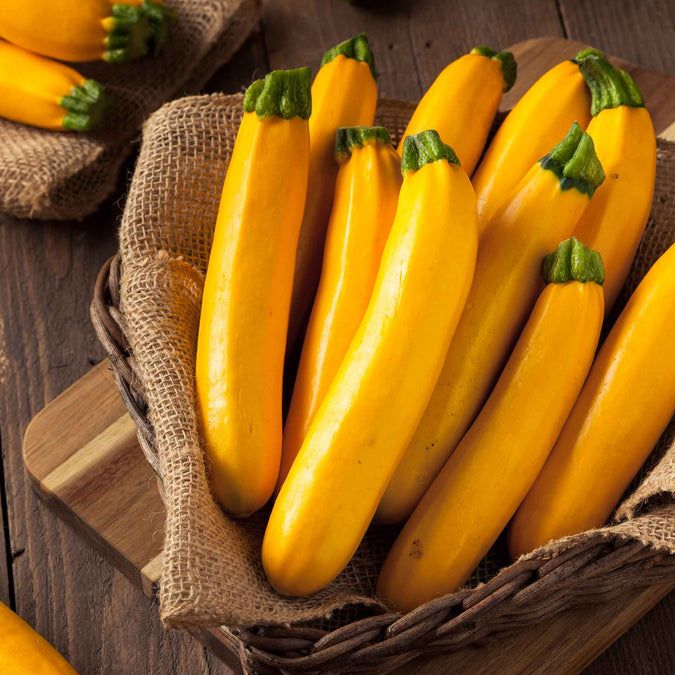zucchini yellow